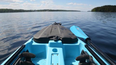 Kayaks rentals