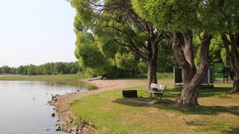 Penkki ja puita rannalla, bench and trees on the Lake shore 