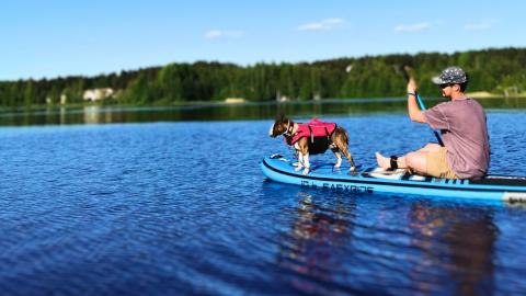 SUP-Lautailua koiran kanssa Vuoksella.